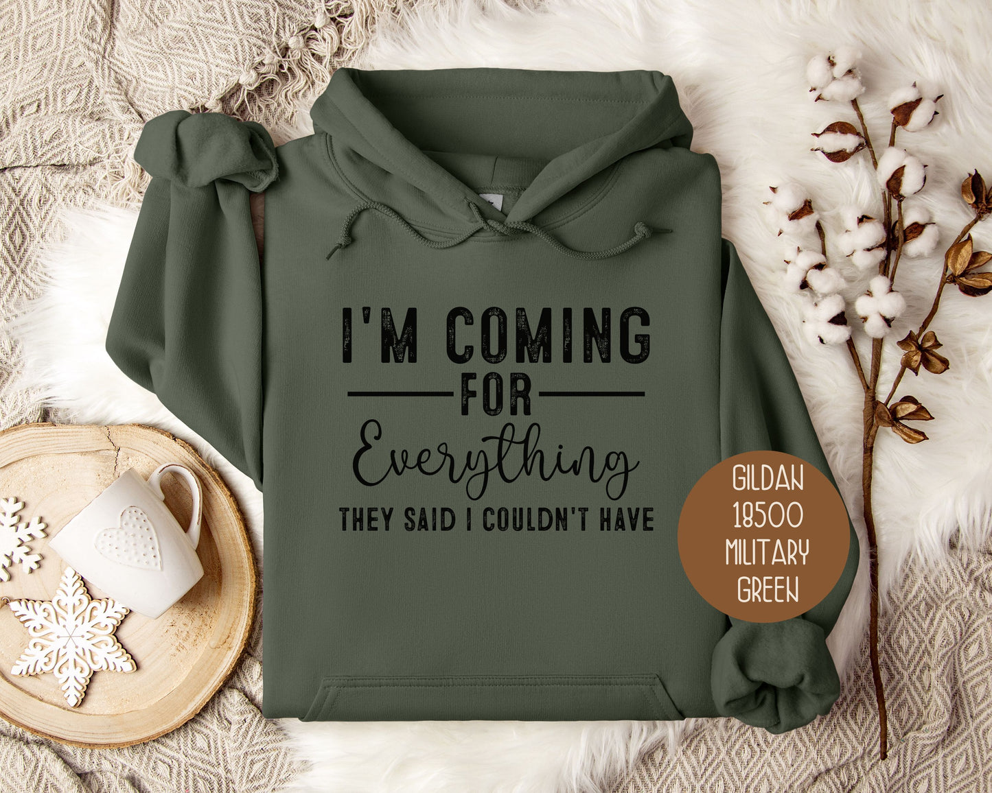 I'm Coming for Everything They Said I Couldn't Have Hoodie
