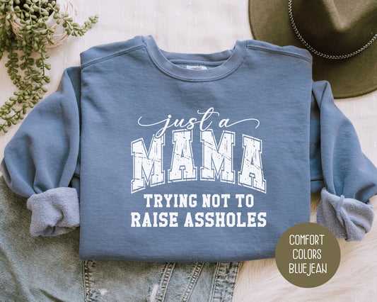 Just a Mama Trying Not To Raise Assholes Comfort Colors Sweatshirt Sweatshirt  CreativeSpecialTs