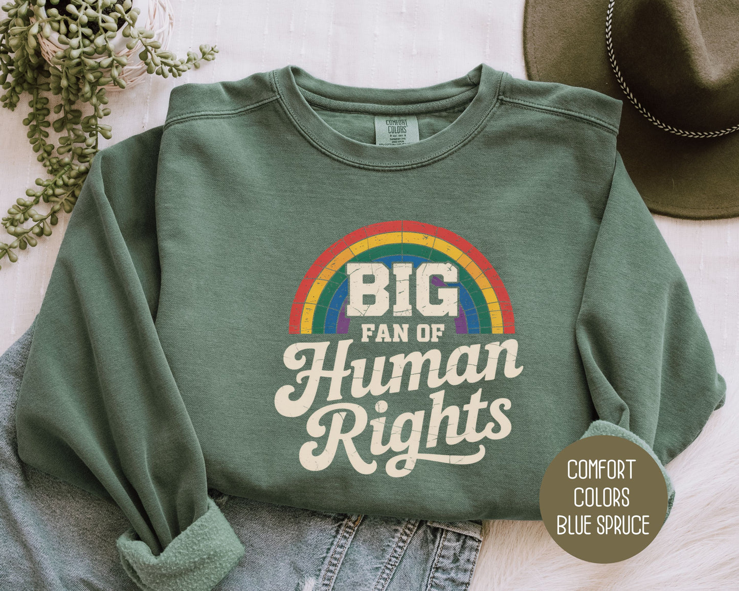 Big Fan of Human Rights Comfort Colors Sweatshirt