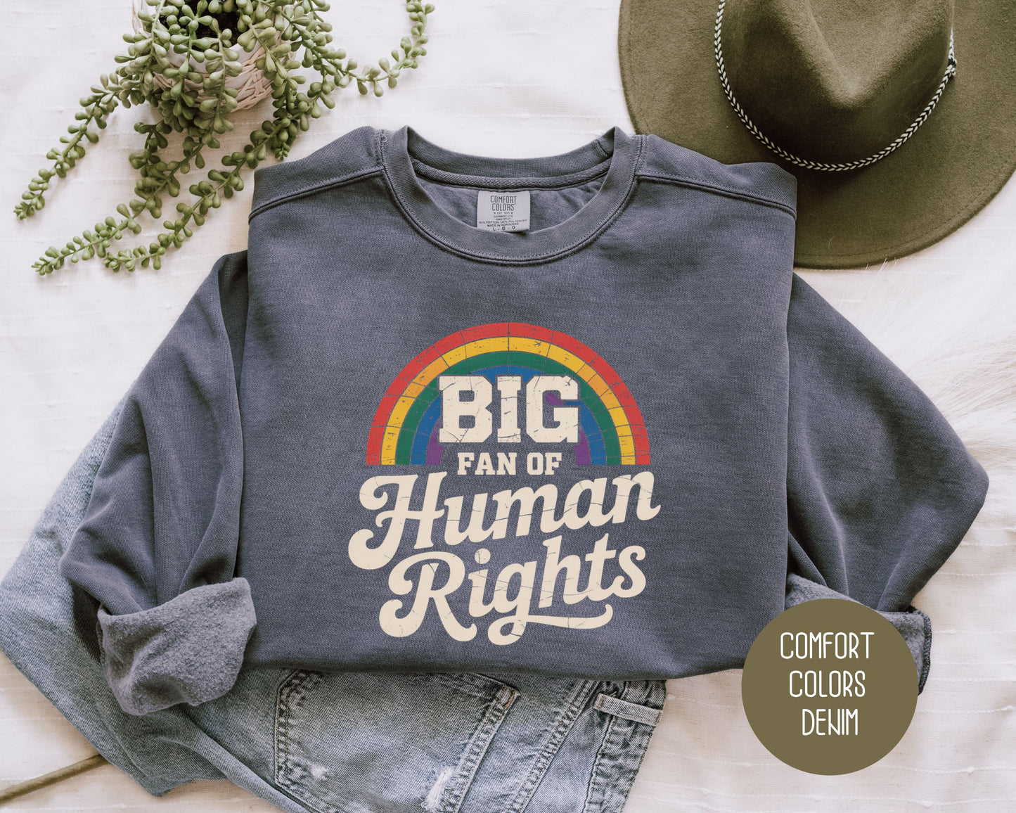 Big Fan of Human Rights Comfort Colors Sweatshirt