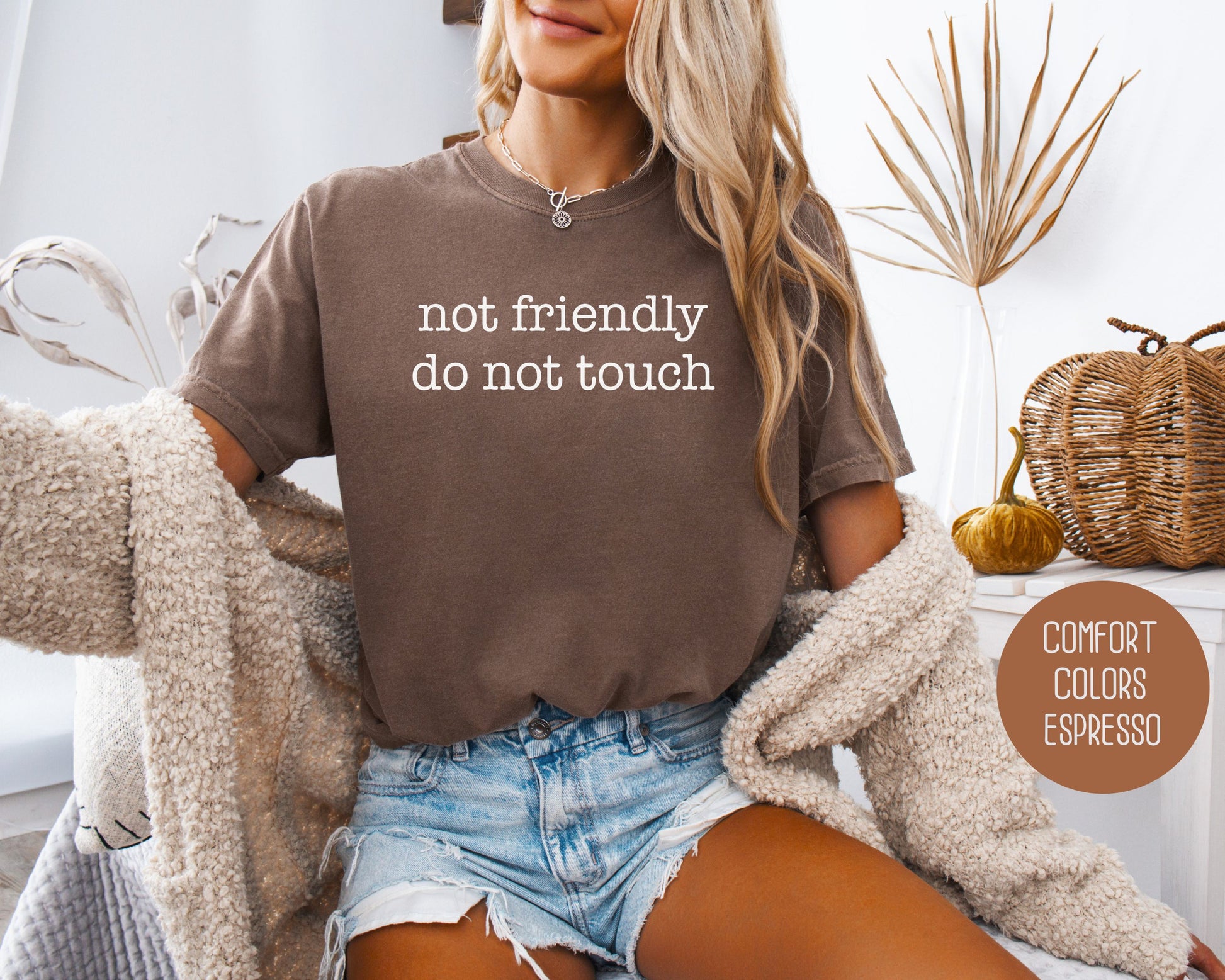 Not Friendly Do Not Touch Comfort Colors Shirt T-Shirt  CreativeSpecialTs