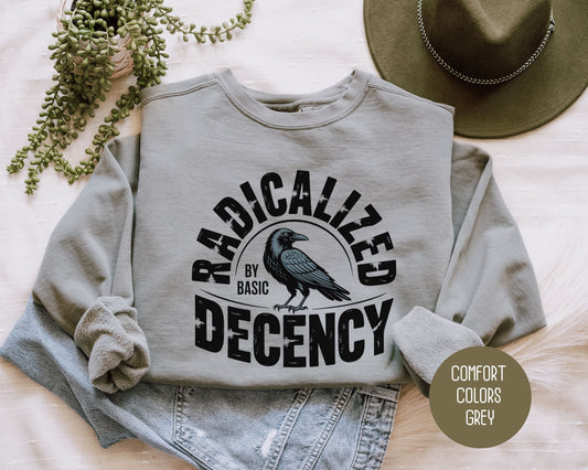 Radicalized By Basic Decency Comfort Colors Sweatshirt Sweatshirt  CreativeSpecialTs