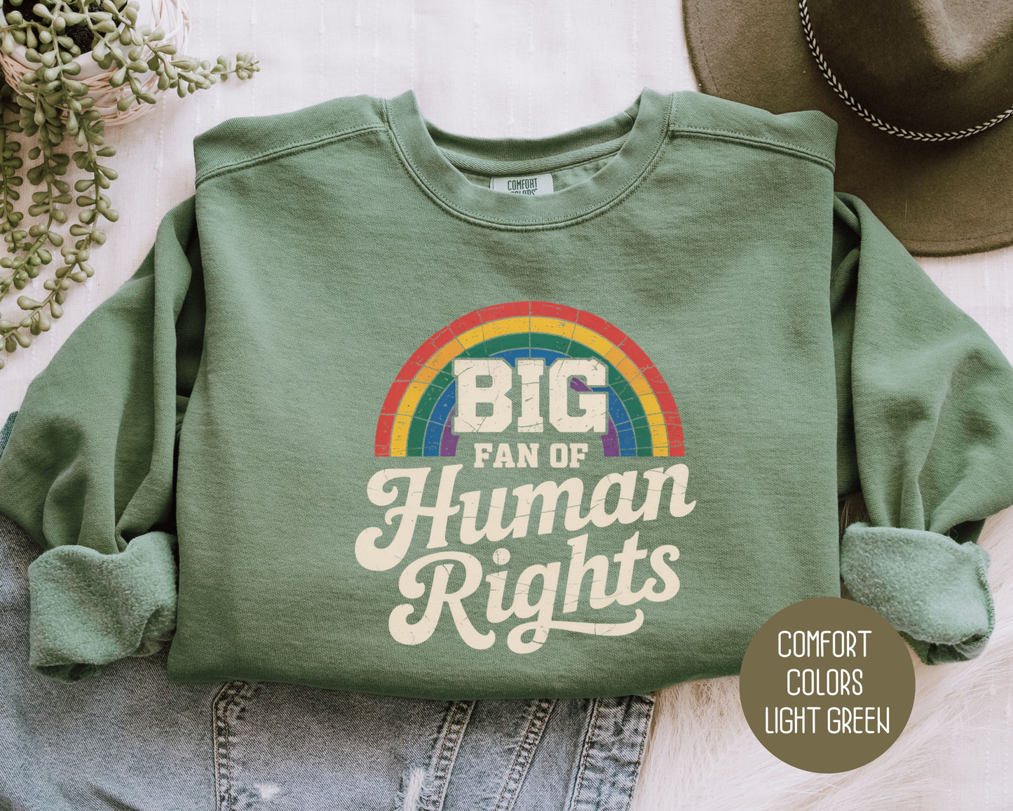 Big Fan of Human Rights Comfort Colors Sweatshirt