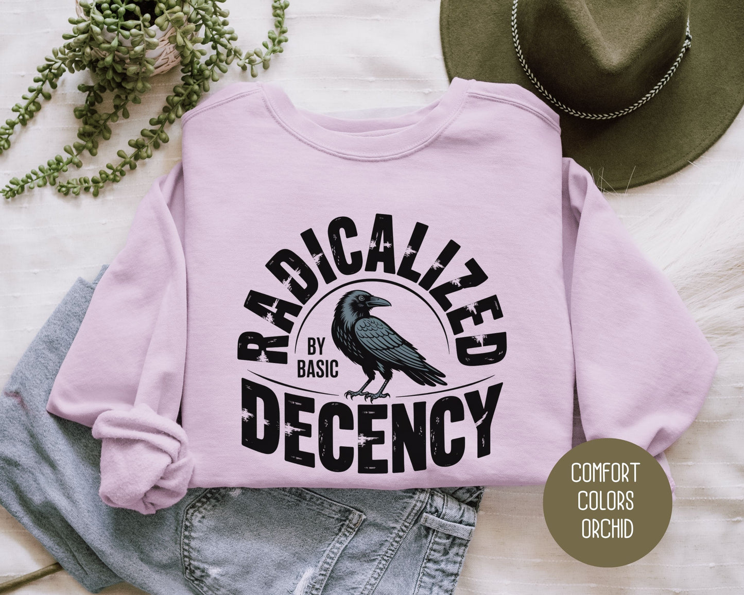 Radicalized By Basic Decency Comfort Colors Sweatshirt Sweatshirt  CreativeSpecialTs
