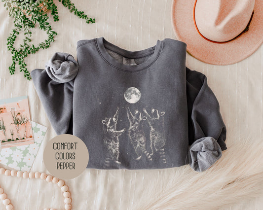 Three Raccoons Vintage Comfort Colors Sweatshirt