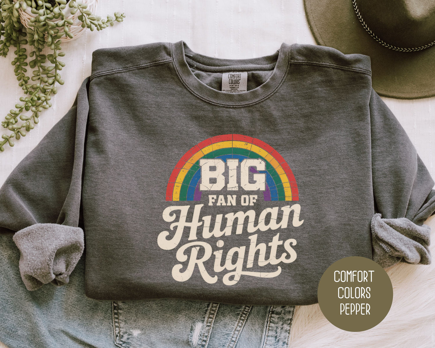 Big Fan of Human Rights Comfort Colors Sweatshirt