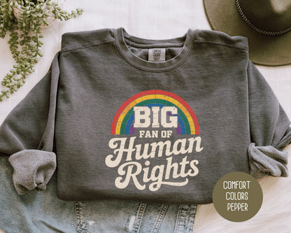 Big Fan of Human Rights Comfort Colors Sweatshirt