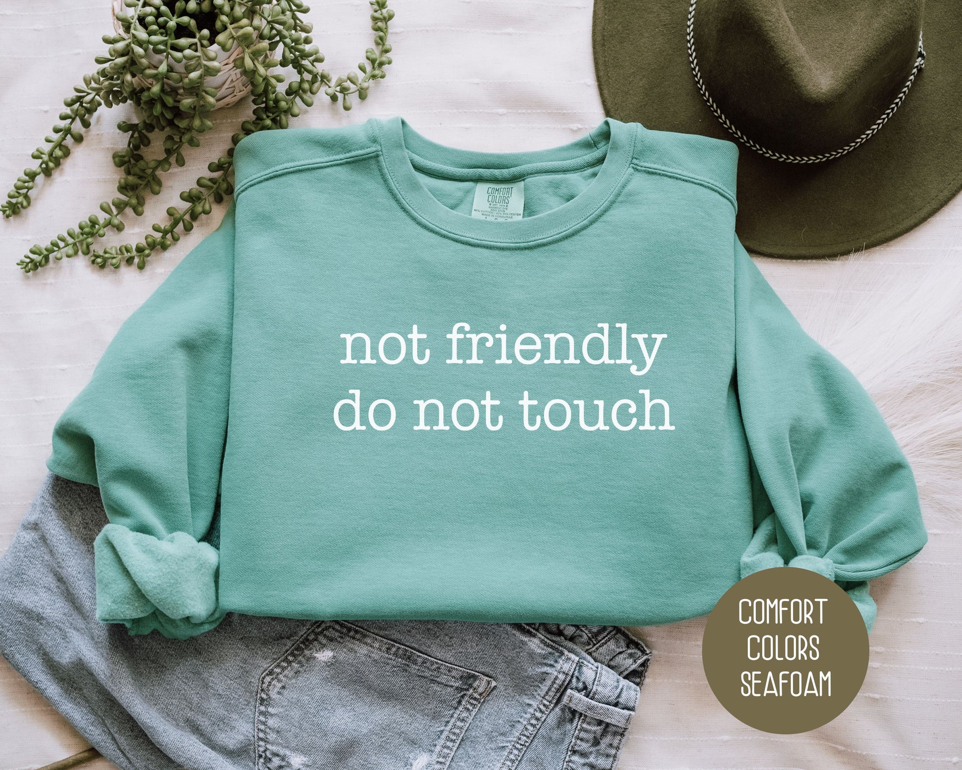 Not Friendly Do Not Touch Comfort Colors Sweatshirt Sweatshirt  CreativeSpecialTs